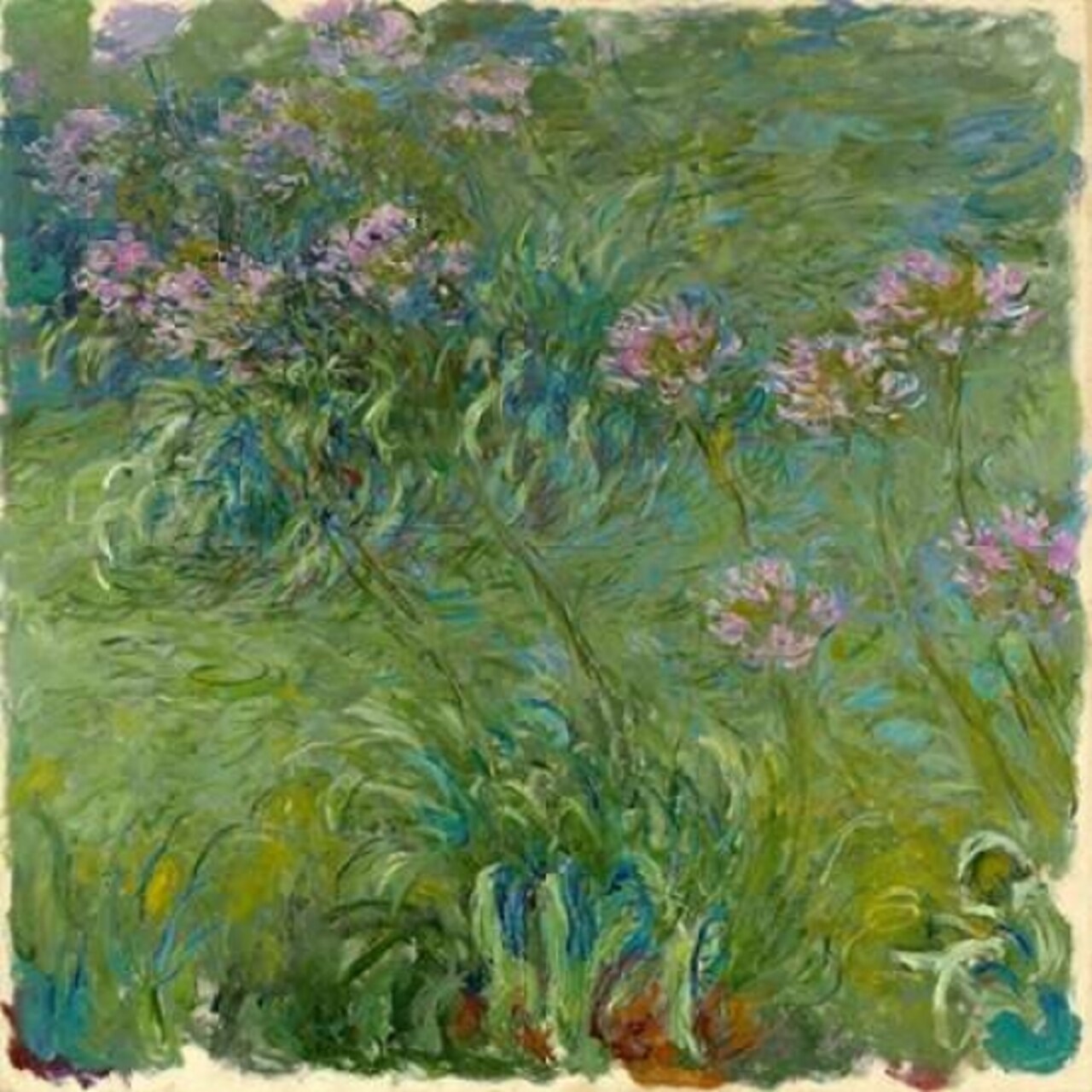 Agapanthe Poster Print by Claude Monet - Item # VARPDX1CM1530